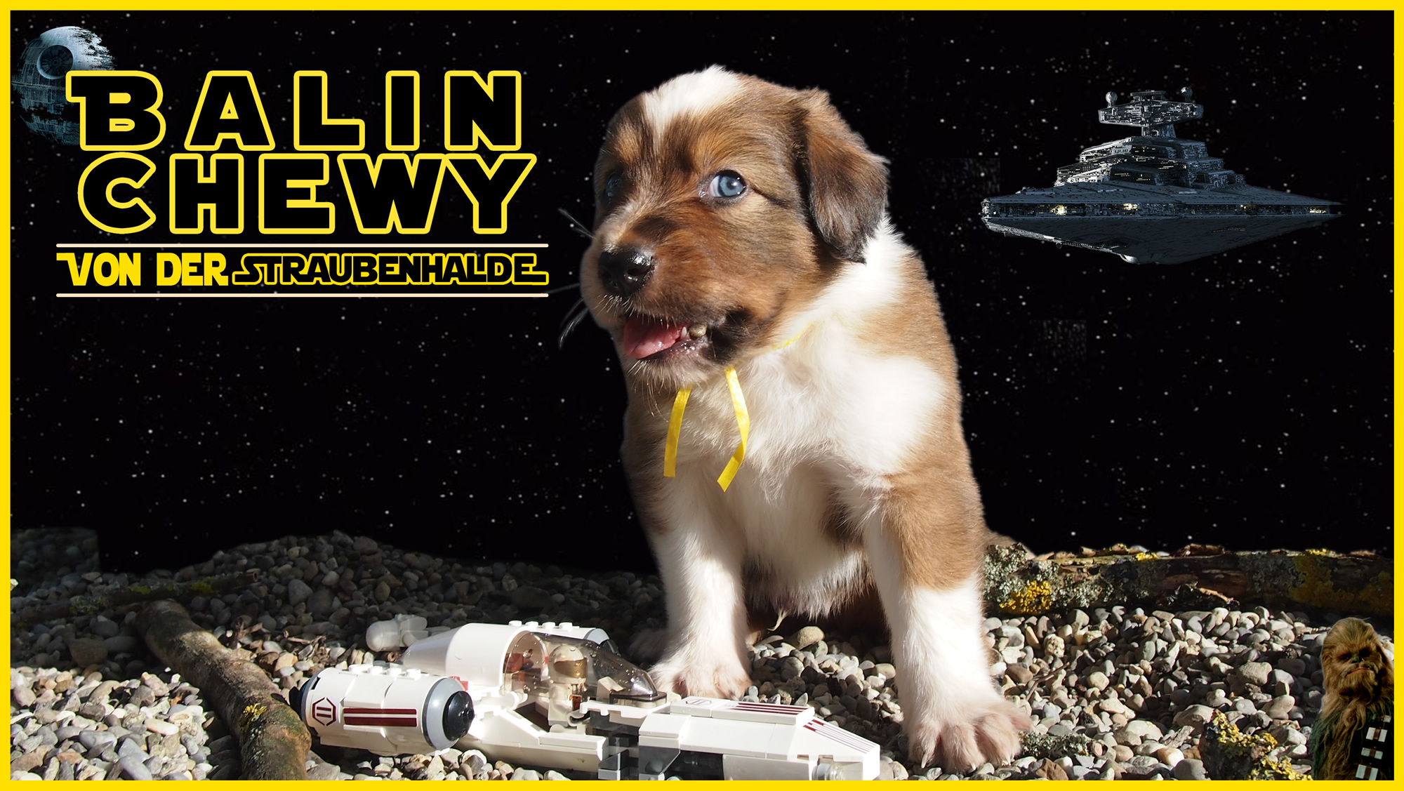 Wäller von der Straubenhalde